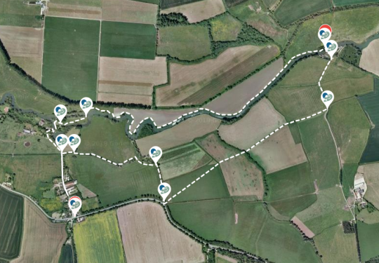 Buscot Dog Walk