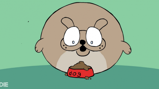 dangers of doggy obesity