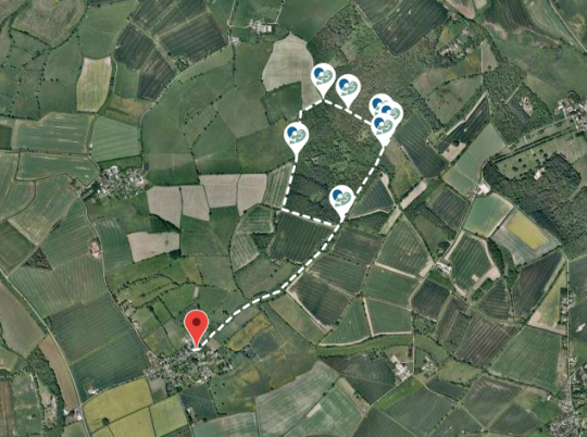 Fifield dog walk
