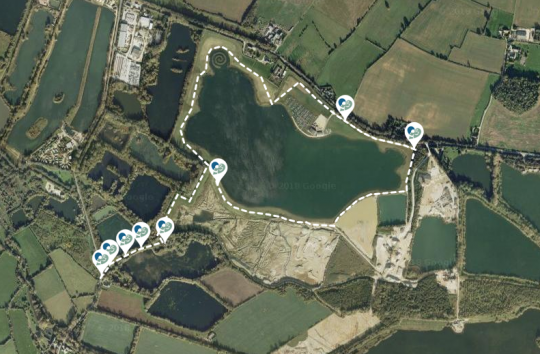 Welford Pools dog walk