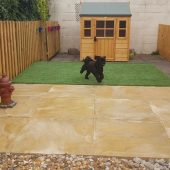 Doggy Day Care Muxton
