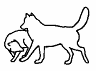 Canine Body Language 