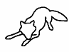 Canine Body Language 