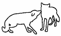 Canine Body Language 