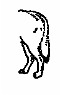 Canine Body Language 