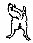 Canine Body Language 