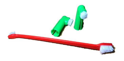 Doggy Toothbrush