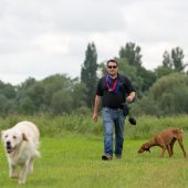 Start Your Own Dog Walking Business