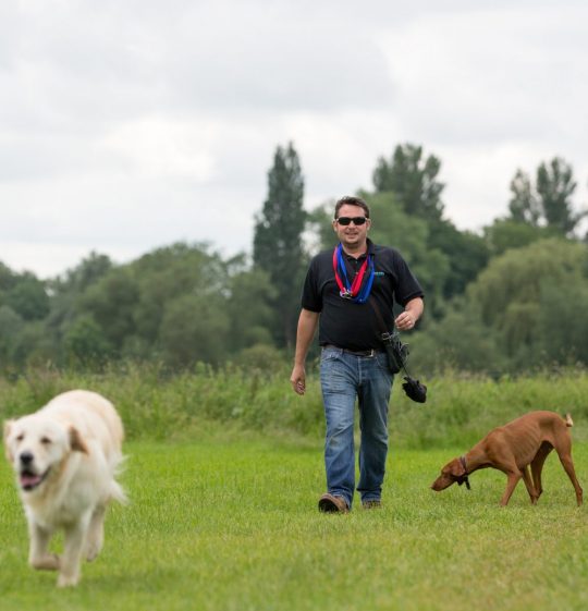 Start Your Own Dog Walking Business