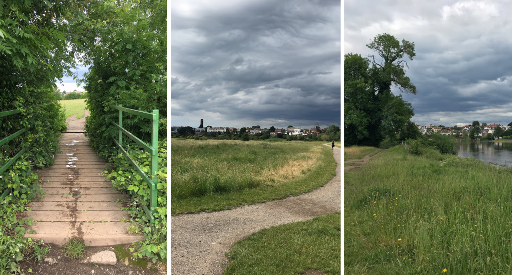 Dog Friendly Walks at Chester Meadows