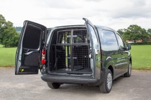 insured chester dog walker