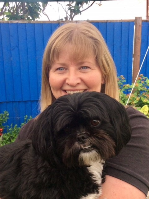 Reiki treatment for dogs