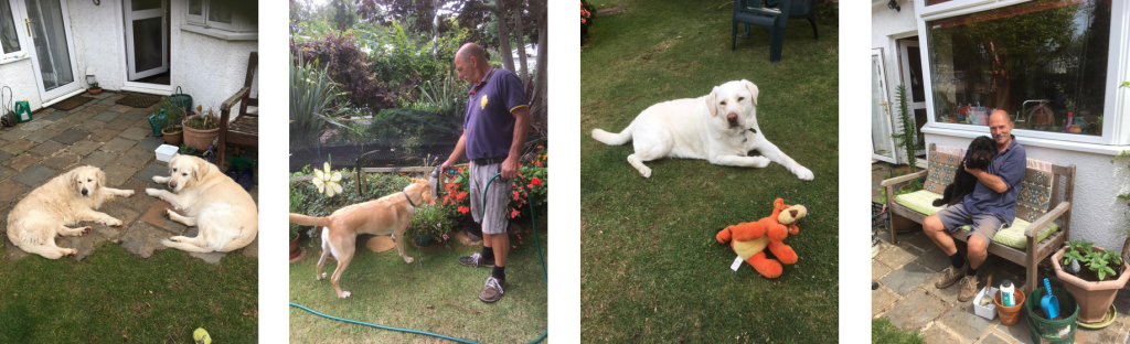 Home from Home dog Boarding in the Cotswolds