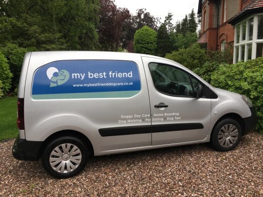 Dog walker in Queens Park Chester