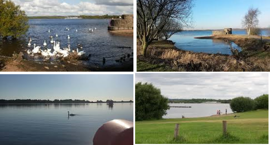 Chasewater Circular Dog Walk