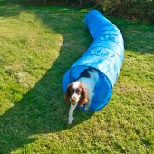 My Best Friend Doggy Day Care Burntwood