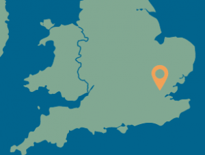 Dog in Care Chigwell