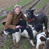 My Best Friend Dog Walking Andover