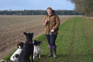 Dog Walking at Abbotts Ann Down