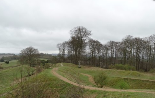 Danebury Hill
