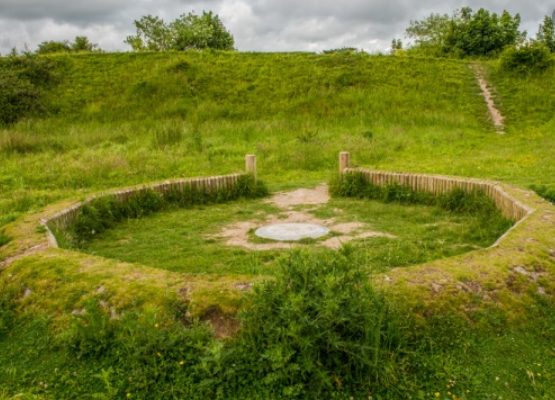 Danebury Hill Fort Dog Walk