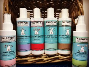 Wild Wash Dog Shampoo 