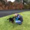 Day Care for Dogs With Kieran Doyle
