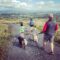 Dog Home Boarding with Kieran