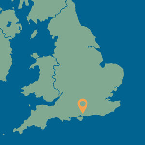 My Best Friend Dog Care, Fareham