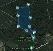 Forest of Bere Dog Walk