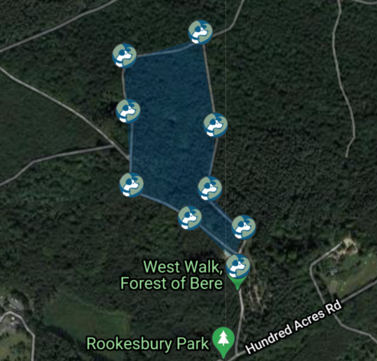 Forest of Bere Dog Walk