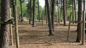 Forest of Bere Kids Play Area
